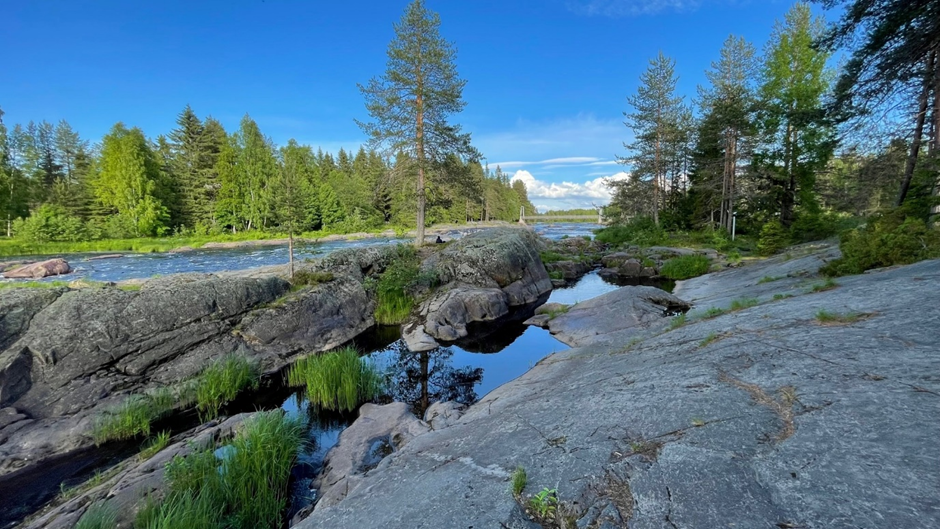 Kuva Koitelinkoskesta.